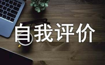 it工程師自我評價15篇