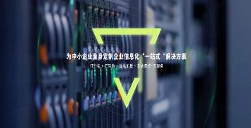 運(yùn)維服務(wù)管理體系_服務(wù)器運(yùn)維技術(shù)_運(yùn)維項(xiàng)目服務(wù)巡檢報(bào)告